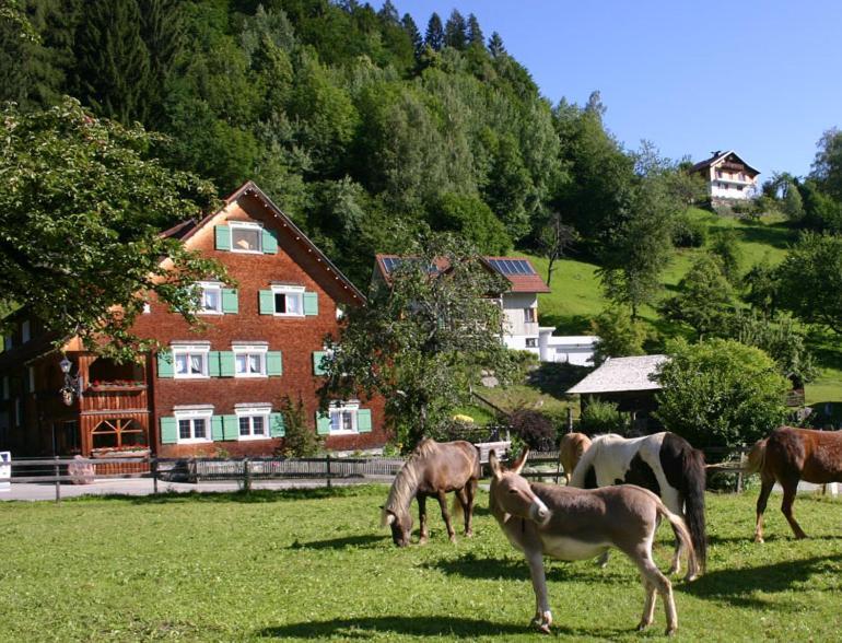 Hotel Gasthaus Schaefle Bürserberg Esterno foto